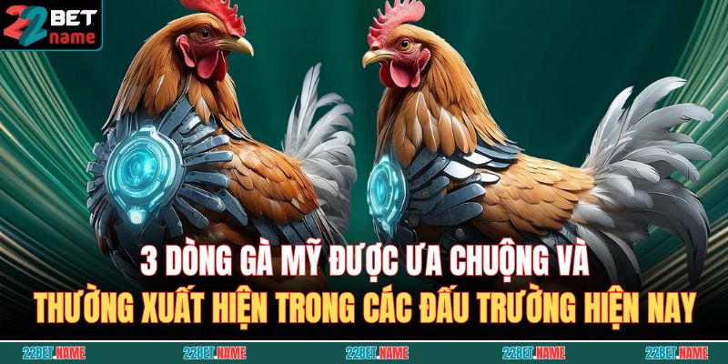 Đá Gà Mỹ 22BET – Nơi Trải Nghiệm Chiến Thắng Tuyệt Đỉnh 4 3 dòng gà Mỹ được ưa chuộng và thường xuất hiện trong các đấu trường hiện nay