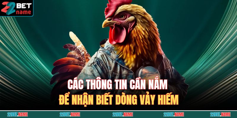 Vảy Gà Quý Là Gì? Cách Nhận Biết Gà Chiến Sở Hữu Dòng Vảy Hiếm 3 Các thông tin cần nắm để nhận biết dòng vảy hiếm