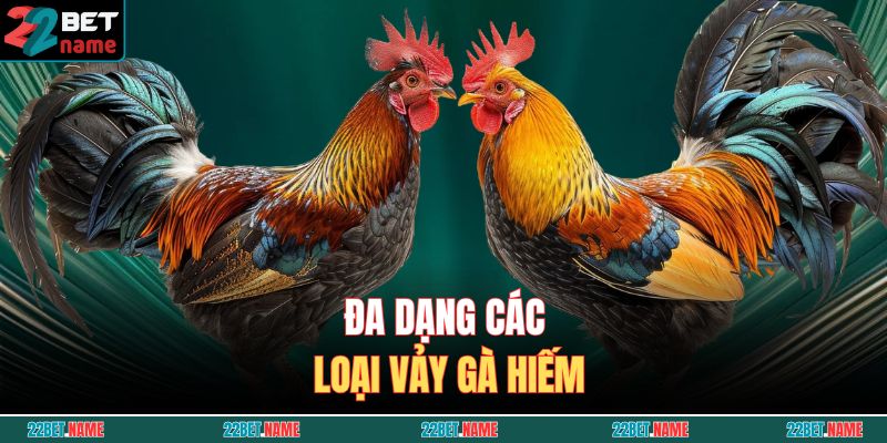 Vảy Gà Quý Là Gì? Cách Nhận Biết Gà Chiến Sở Hữu Dòng Vảy Hiếm 4 Đa dạng các loại vảy gà hiếm