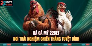 Đá Gà Mỹ 22BET – Nơi Trải Nghiệm Chiến Thắng Tuyệt Đỉnh 2 đá gà mỹ 22BET