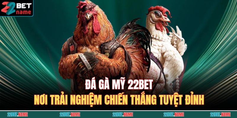 đá gà mỹ 22BET