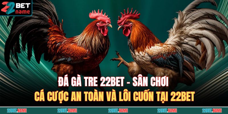 Đá gà tre 22BET