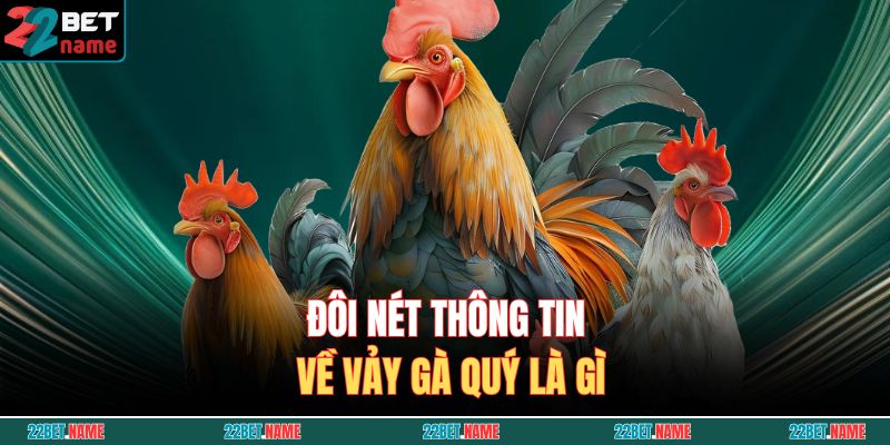 Vảy Gà Quý Là Gì? Cách Nhận Biết Gà Chiến Sở Hữu Dòng Vảy Hiếm 2 Đôi nét thông tin về vảy gà quý là gì