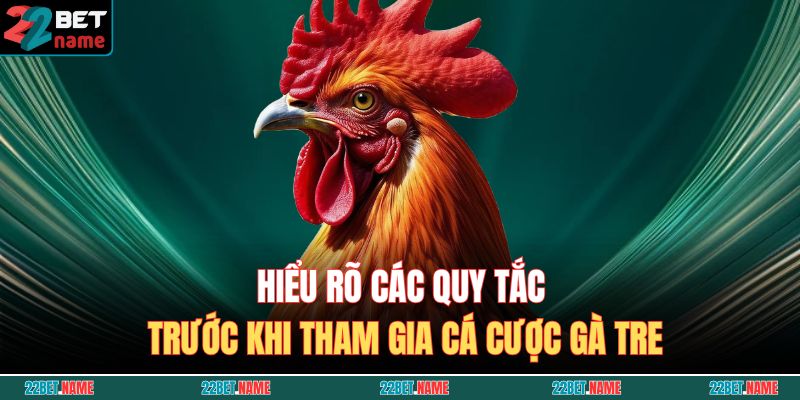 Đá Gà Tre 22BET – Sân Chơi Cá Cược An Toàn Và Lôi Cuốn Tại 22BET 4 Hiểu rõ các quy tắc trước khi tham gia cá cược gà tre