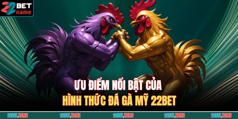 Đá Gà Mỹ 22BET – Nơi Trải Nghiệm Chiến Thắng Tuyệt Đỉnh 2 Ưu điểm nổi bật của hình thức Đá Gà Mỹ 22BET