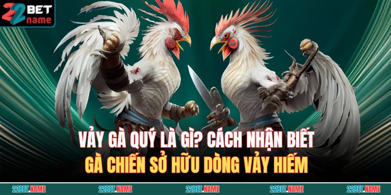 vảy gà quý là gì